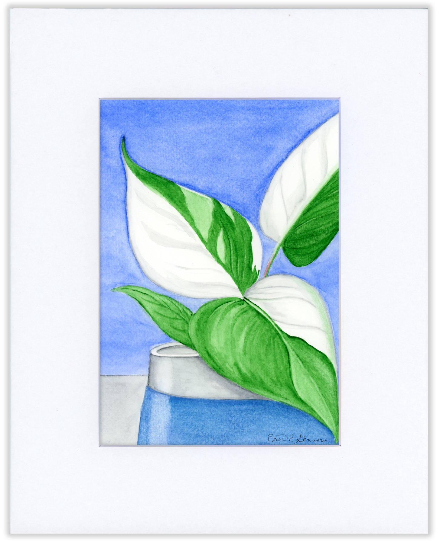 White Knight Philodendron - Fine Art Print - Home Botanicals Series