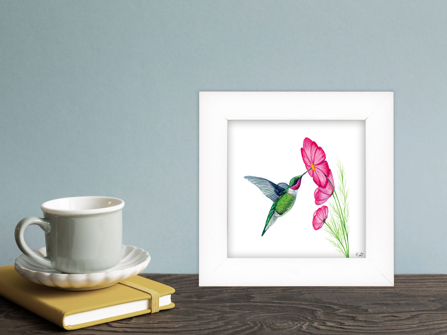 Hummingbird with Cosmos Flower - Framed Fine Art Print - The Hummingbird Series