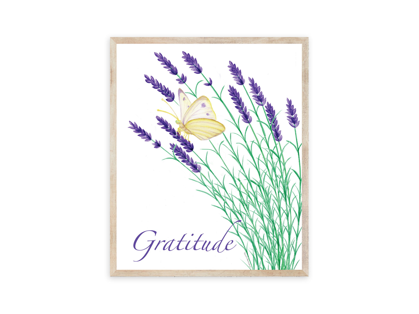 Lavender Graditude with Butterfly - Fine Art Print - The Lavender Series