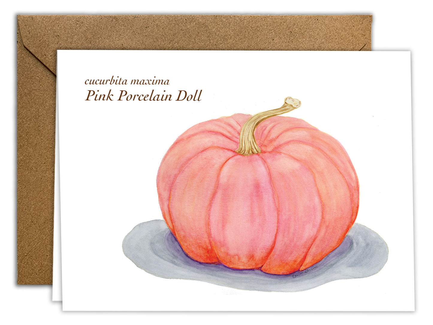 The Pumpkin Series - Autumn Greeting Card Set of 8