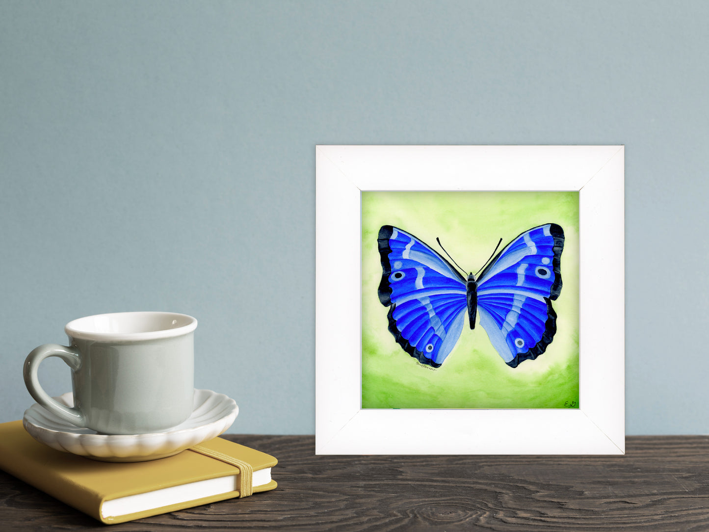 Blue Butterfly- Framed Fine Art Print - The Spring Series