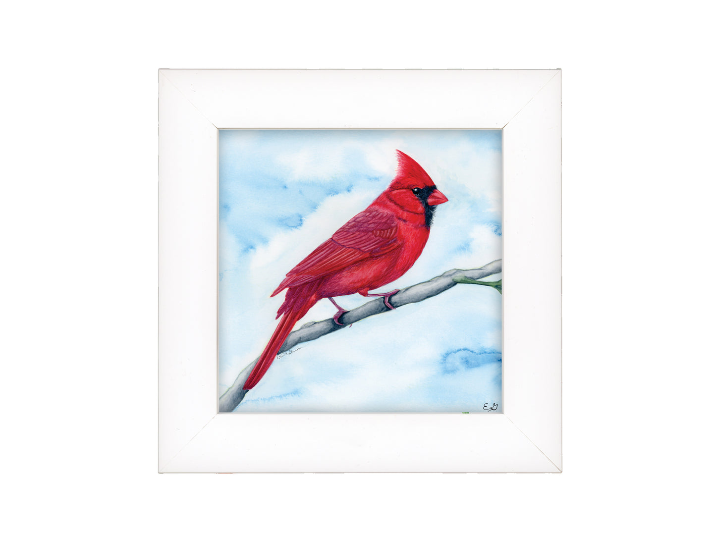 Cardinal in Watercolor - Framed Fine Art Print