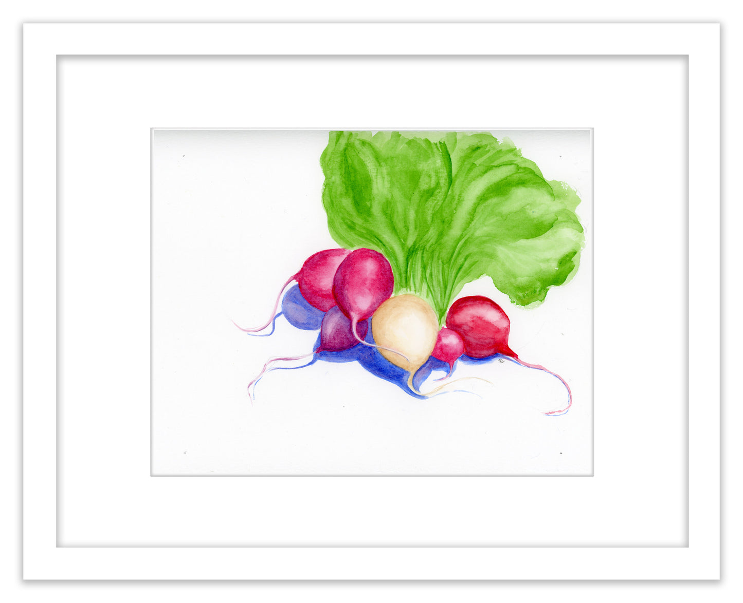 Easter Radish Sketch - Framed Original Watercolor Painting
