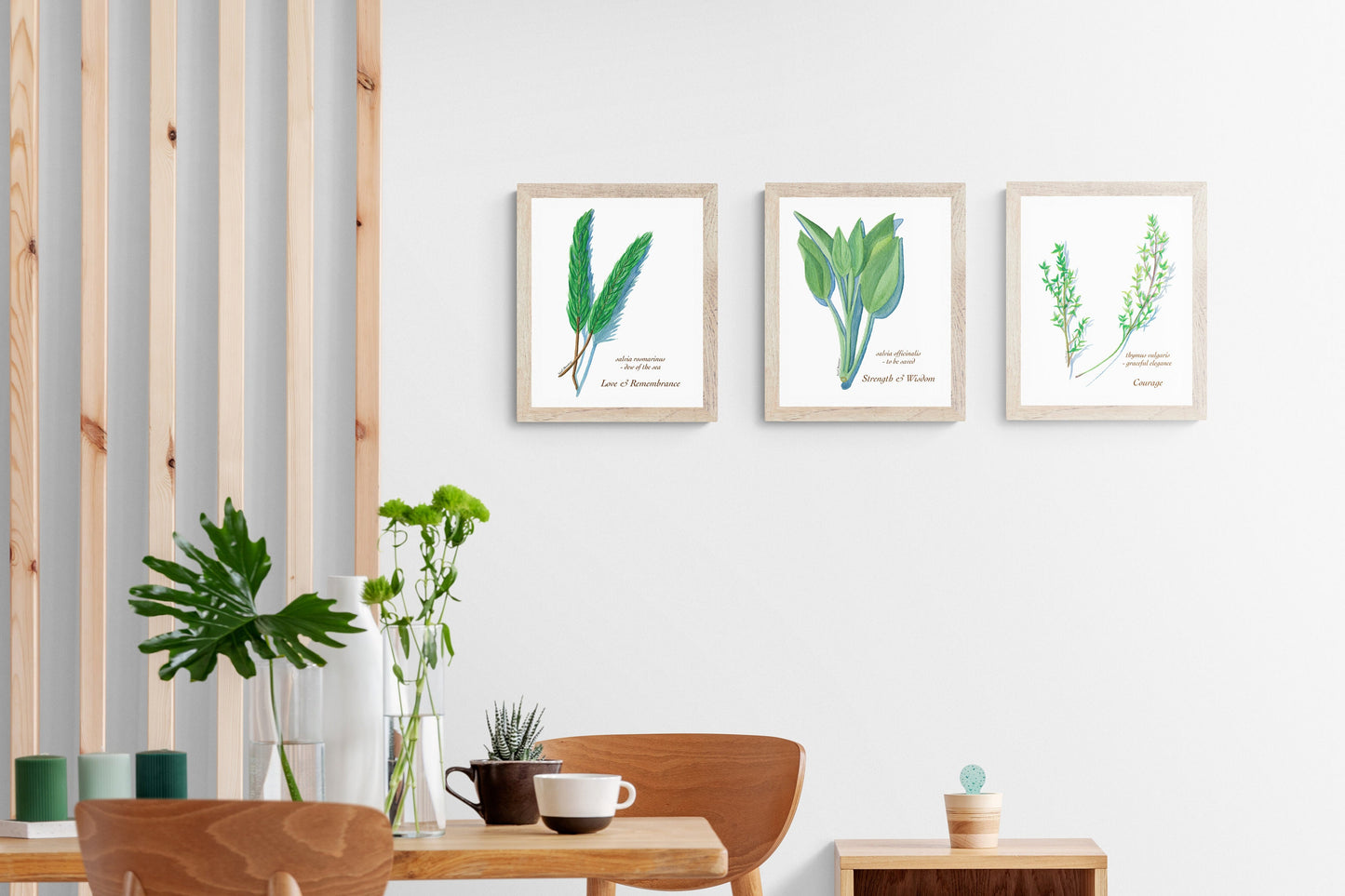 Thyme - Fine Art Print - Culinary Herb Series