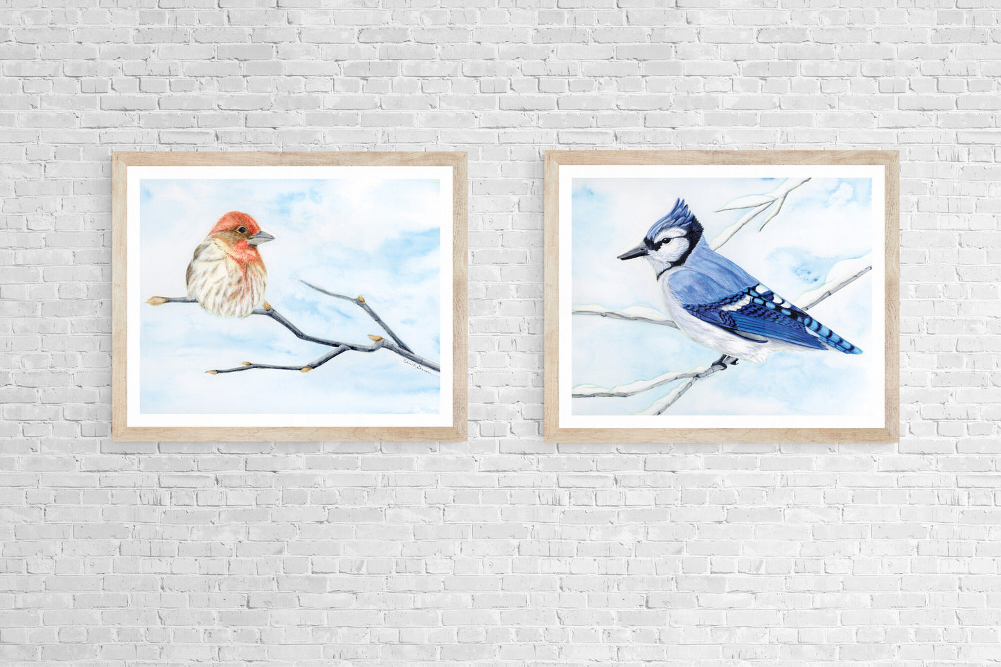 Blue Jay - Fine Art Print - Winter Woodland Animals Series