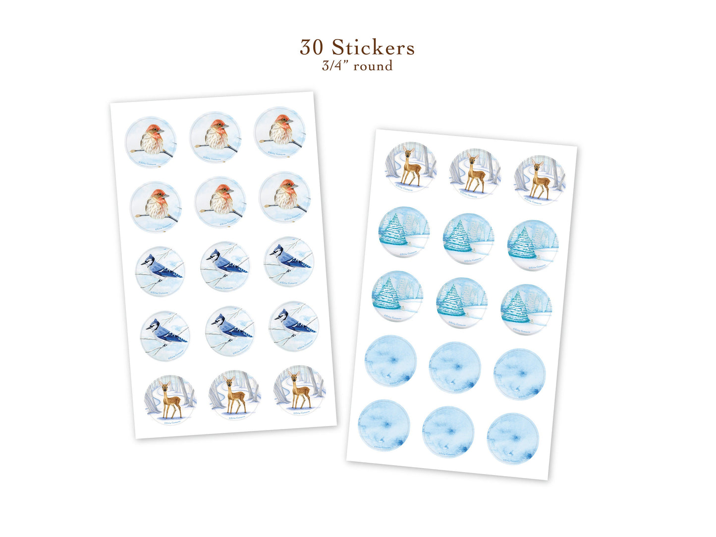 Gift Card Enclosures with Stickers - Winter Woodland Animals Series