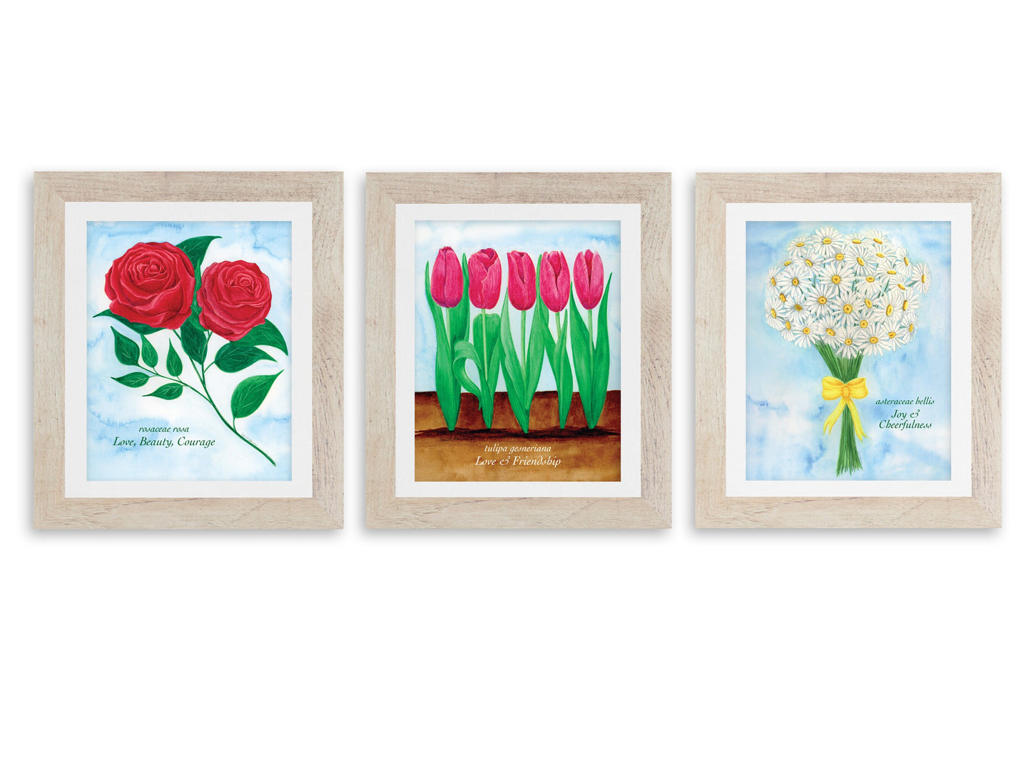 Bed of Tulips Fine Art Print - The Floral Series