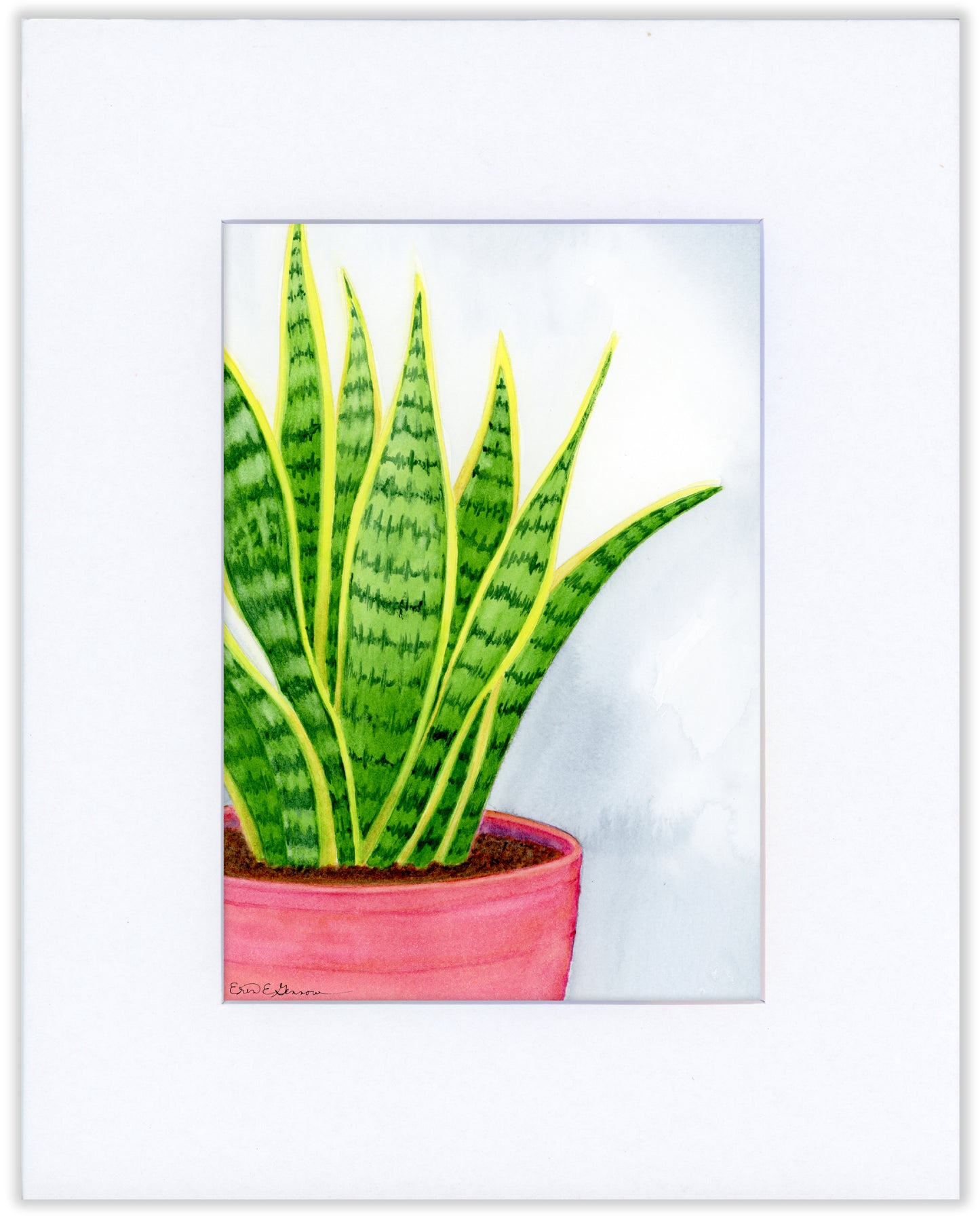 Snake Plant - Fine Art Print - Home Botanicals Series