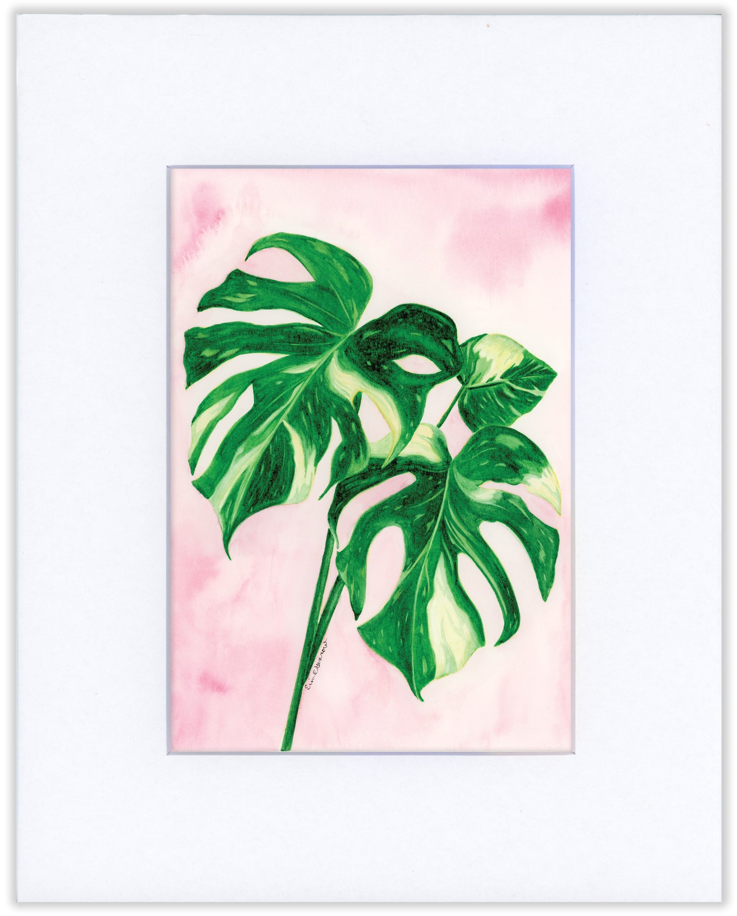 Thai Constellation Monstera - Fine Art Print - Home Botanicals Series