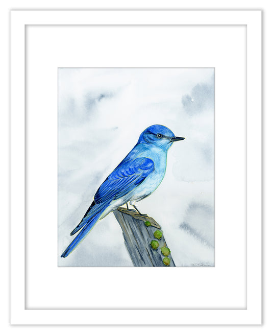 Mountain Blue Bird - Framed Original Watercolor Painting