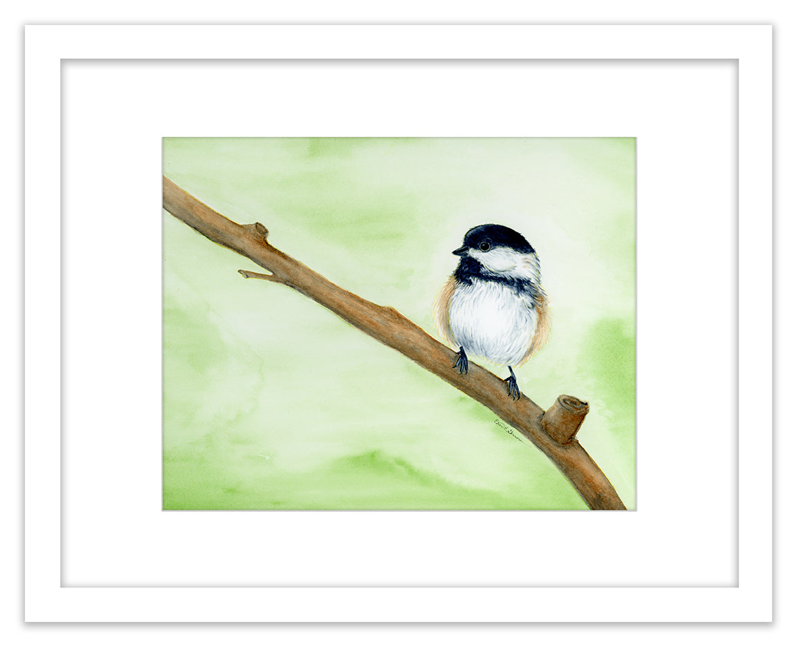 Fluffy Spring Chickadee - Framed Original Watercolor Painting