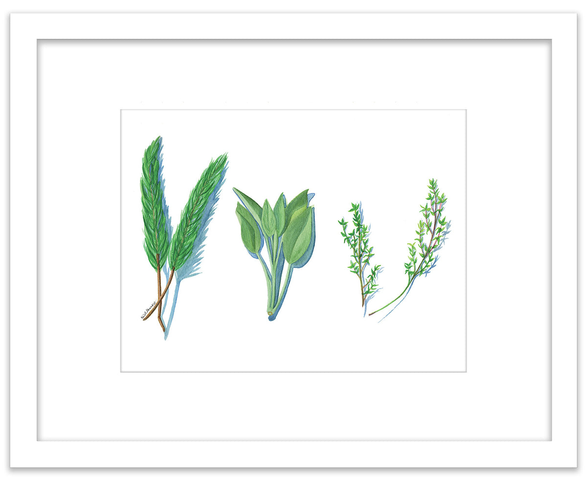 Culinary Herbs - Framed Original Watercolor Painting