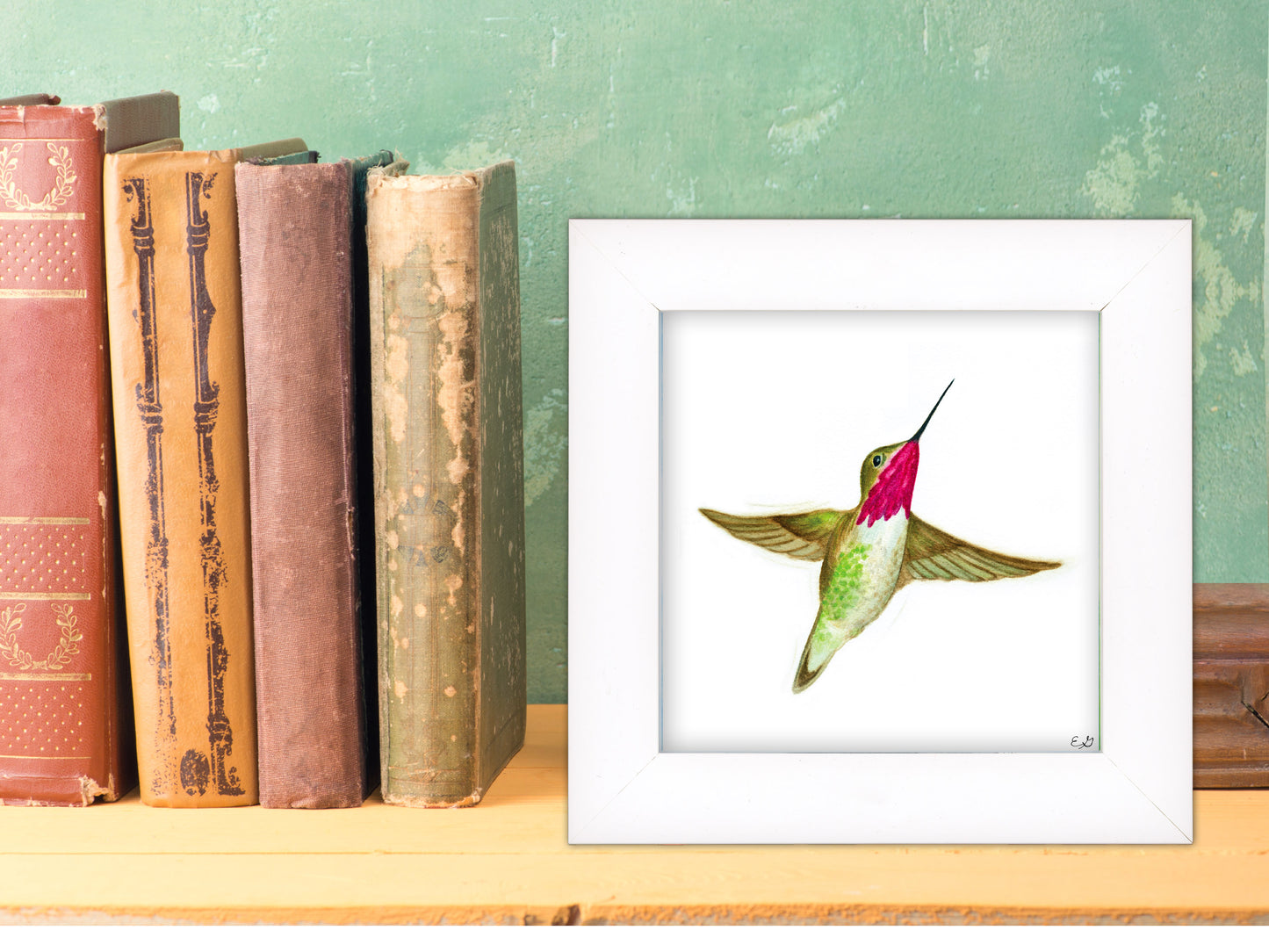 Hummingbird Flying - Framed Fine Art Print - The Hummingbird Series