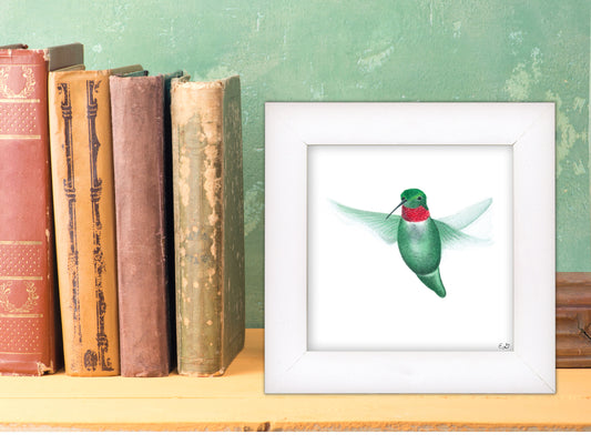 Hummingbird Hello - Framed Fine Art Print - The Hummingbird Series