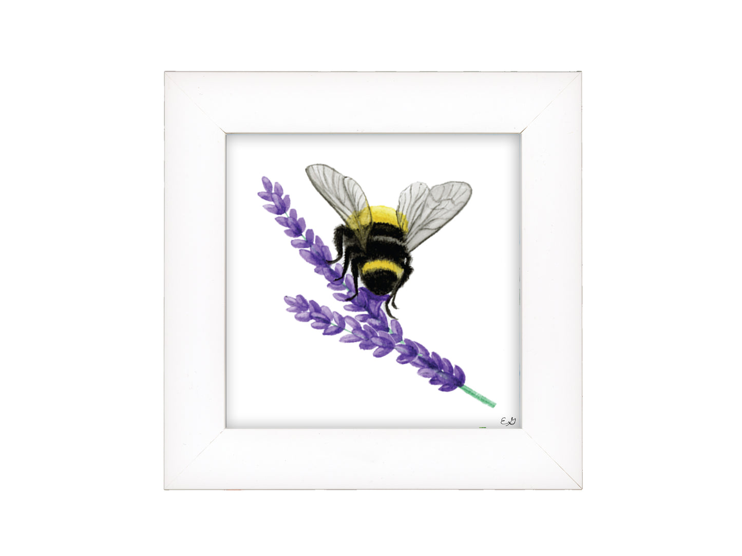 Little Bee on Lavendar - Framed Fine Art Print - The Lavender Series