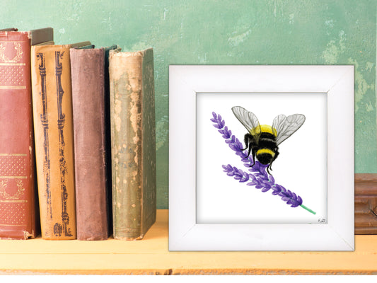 Little Bee on Lavendar - Framed Fine Art Print - The Lavender Series
