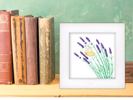 Butterfly on Lavendar - Framed Fine Art Print - The Lavender Series