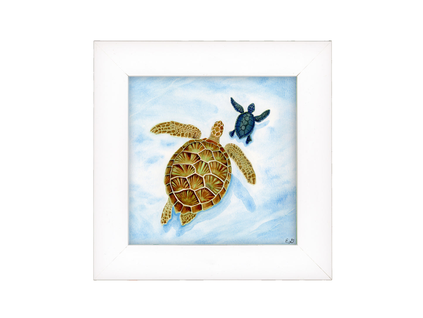 Mama and Baby Turtles  - Framed Fine Art Print - The Ocean Series