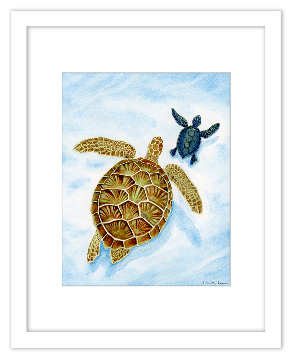 Journey - Sea Turtle with Hatchling - Framed Original Watercolor Painting - SOLD