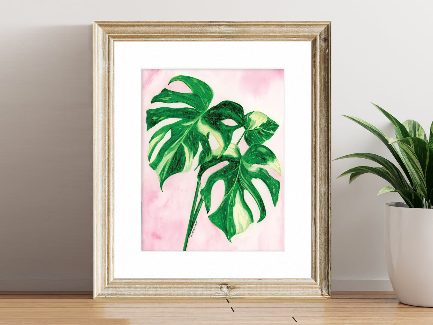 Thai Constellation Monstera - Fine Art Print - Home Botanicals Series