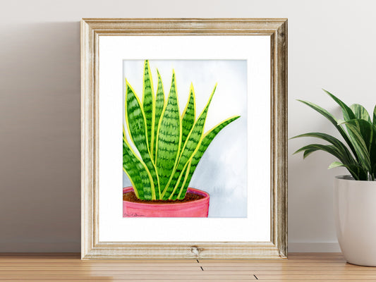 Snake Plant - Fine Art Print - Home Botanicals Series
