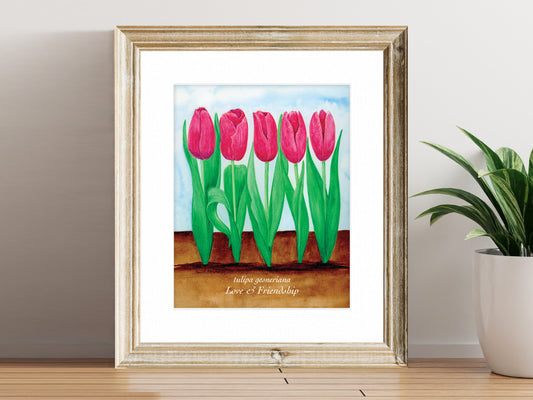 Bed of Tulips Fine Art Print - The Floral Series