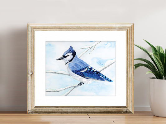 Blue Jay - Fine Art Print - Winter Woodland Animals Series