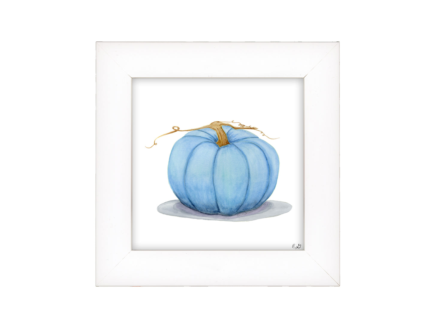 Blue Jarrahdale Pumpkin - Framed Fine Art Print - The Pumpkin Series