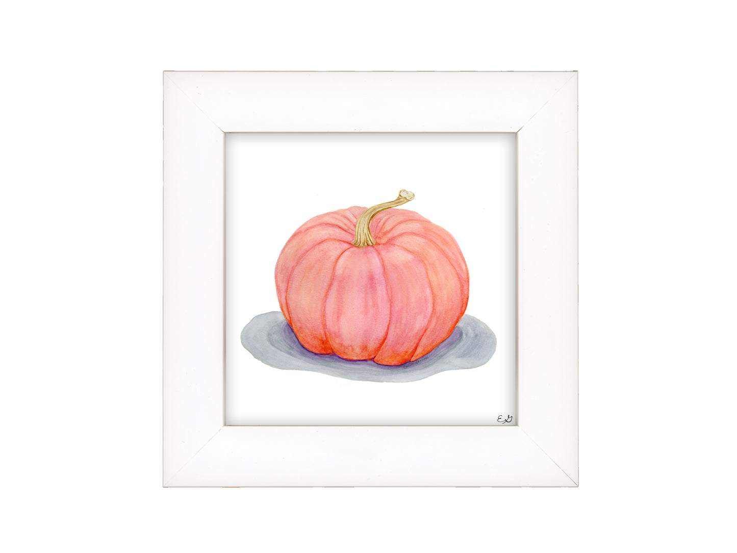 Pink Porcelain Pumpkin - Framed Fine Art Print - The Pumpkin Series