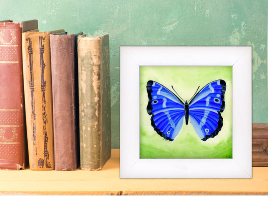 Blue Butterfly- Framed Fine Art Print - The Spring Series