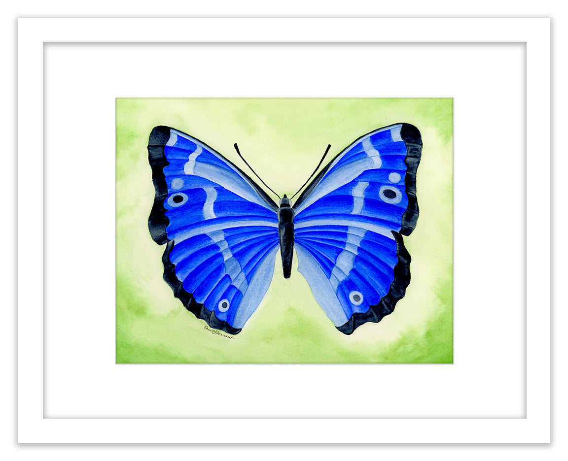 Sapphire Butterfly - Framed Original Watercolor Painting