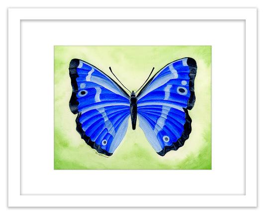 Sapphire Butterfly - Framed Original Watercolor Painting