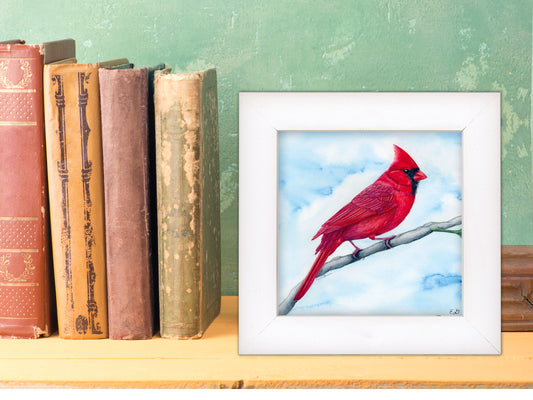 Cardinal in Watercolor - Framed Fine Art Print