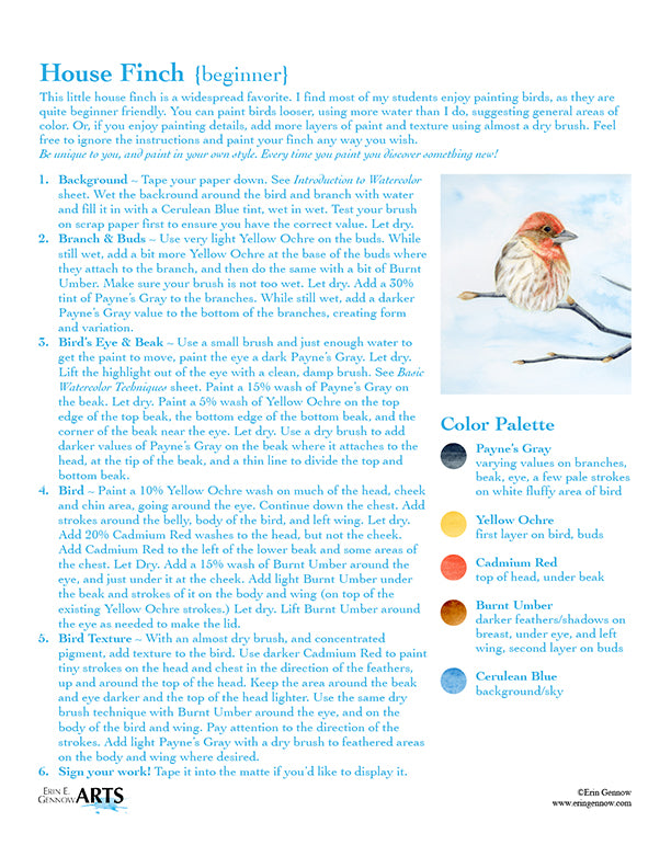 Backyard Birds Watercolor Template Kit, House Finch step-by-step instructions and color palette