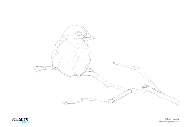 Backyard Birds Watercolor Template Kit, lightly sketched 5x7 House Finch template