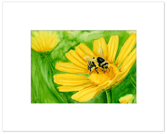 Little Bee, Yellow Daisy - Matted Original Watercolor Sketch