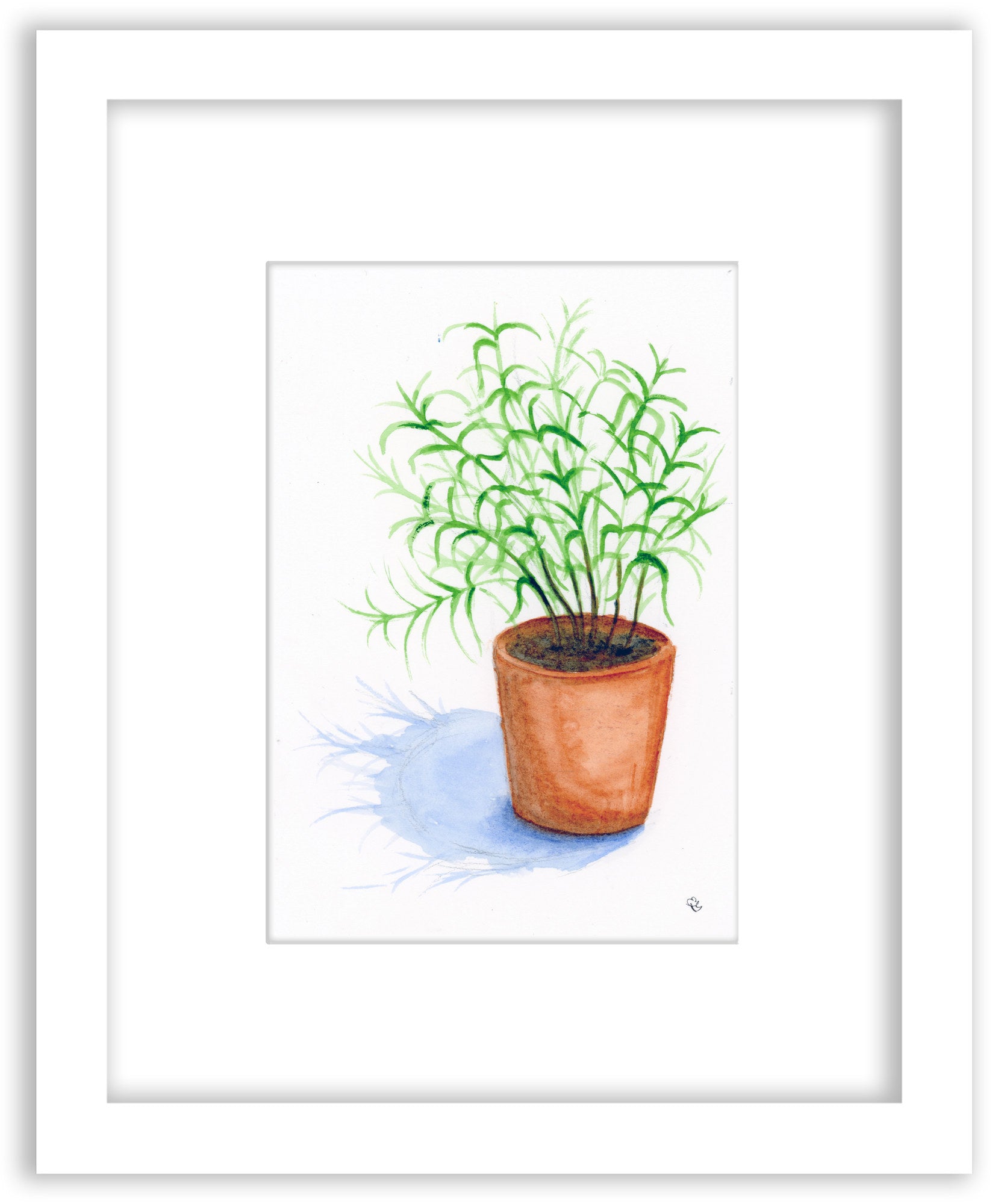 Rosemary Sketch - Framed Original Watercolor Painting