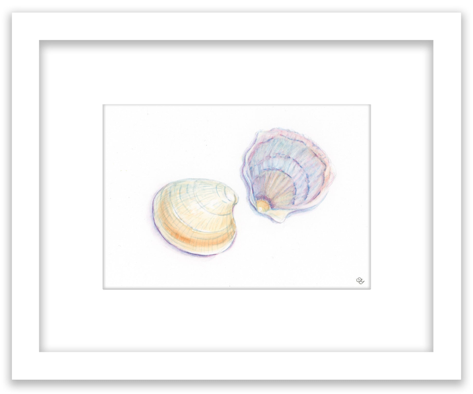 Seashells - Framed Original Watercolor Painting