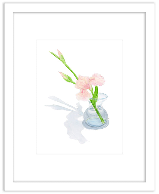 Pink Iris - Framed Original Watercolor Painting