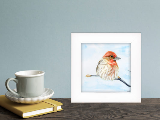 House Finch - Framed Fine Art Print, additional view