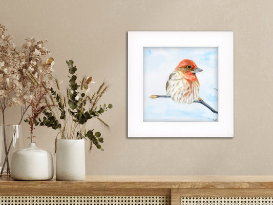 House Finch - Framed Fine Art Print, additional view