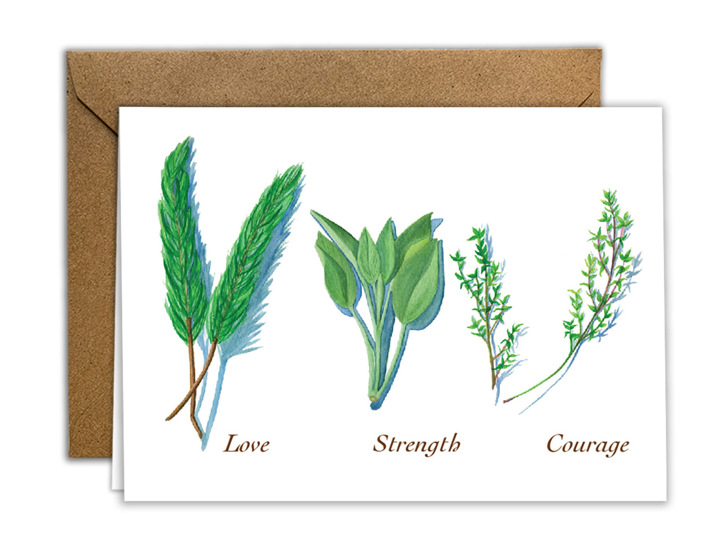 The Culinary Herbs Series - Greeting Card Set of 8