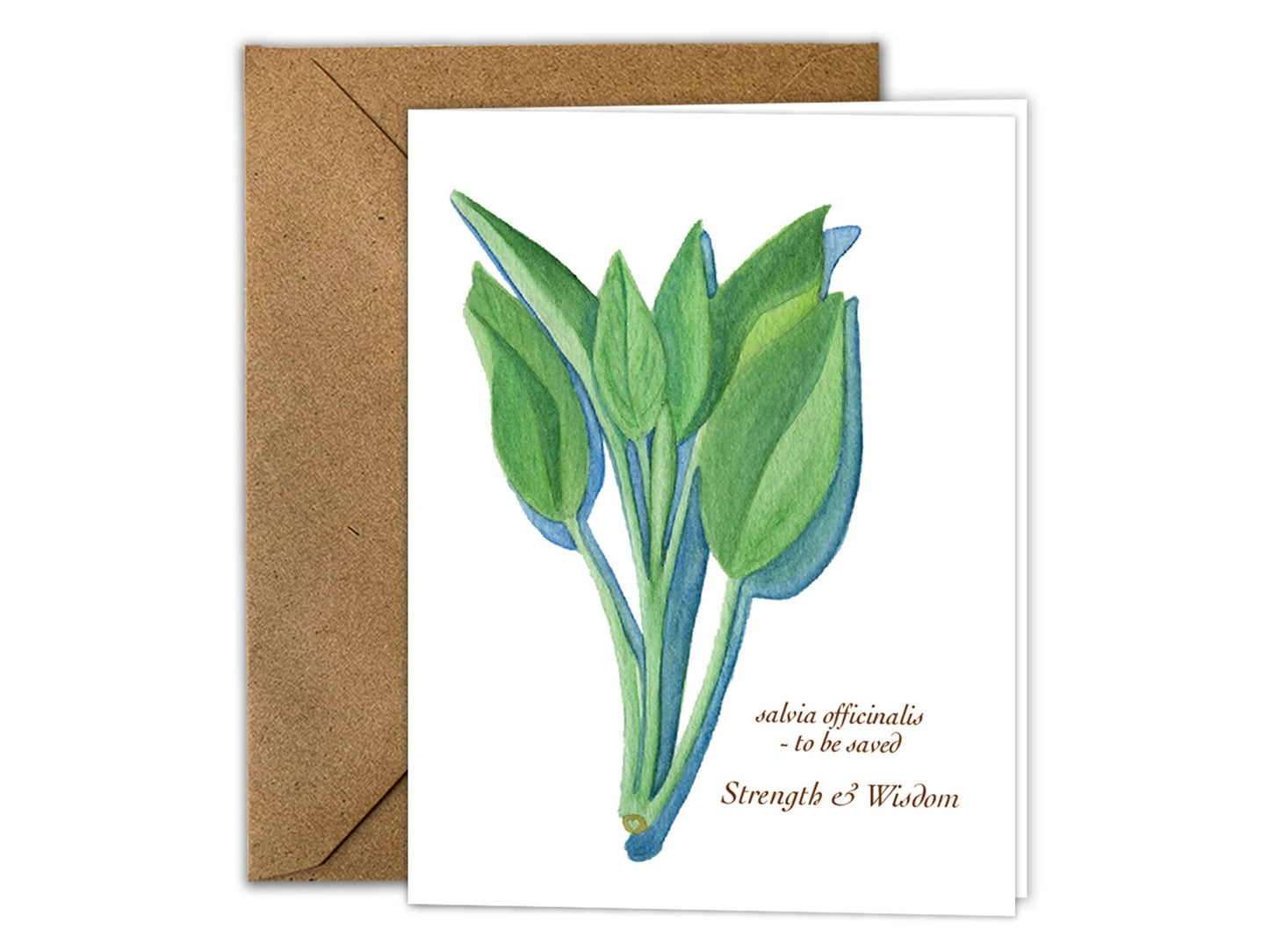 The Culinary Herbs Series - Greeting Card Set of 8