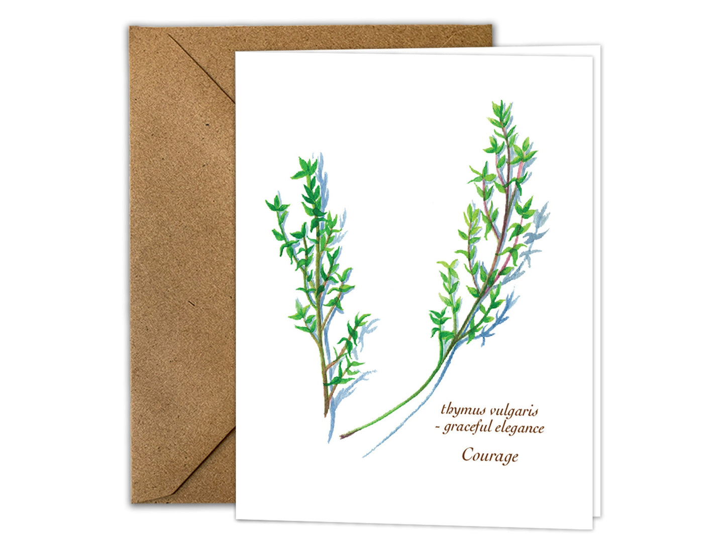 The Culinary Herbs Series - Greeting Card Set of 8