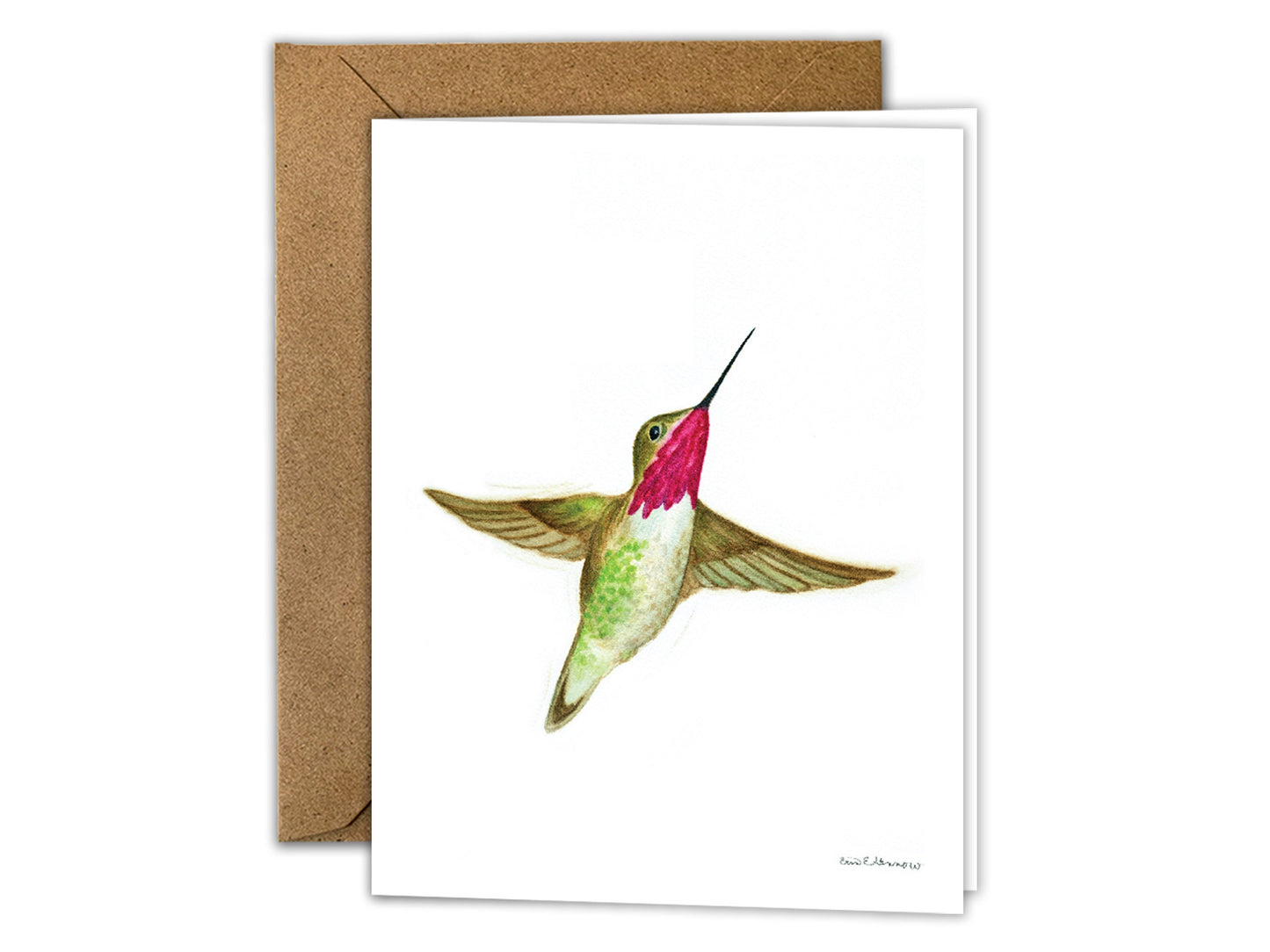 The Hummingbird Series - Greeting Card Set of 8