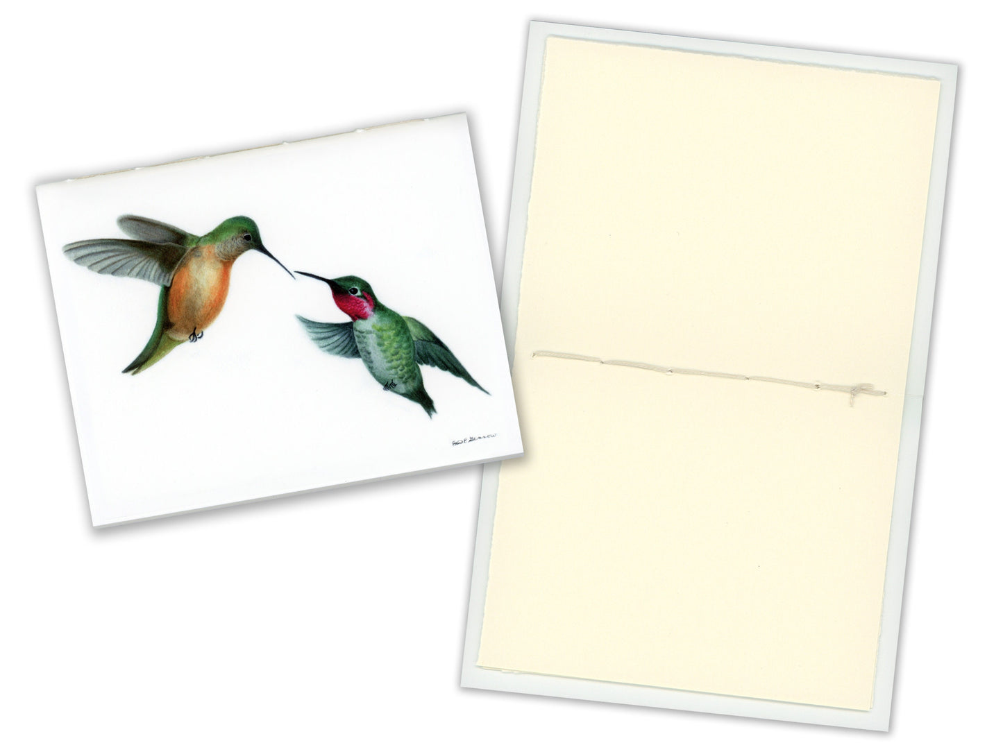 4 Small Journals, The Hummingbird Series