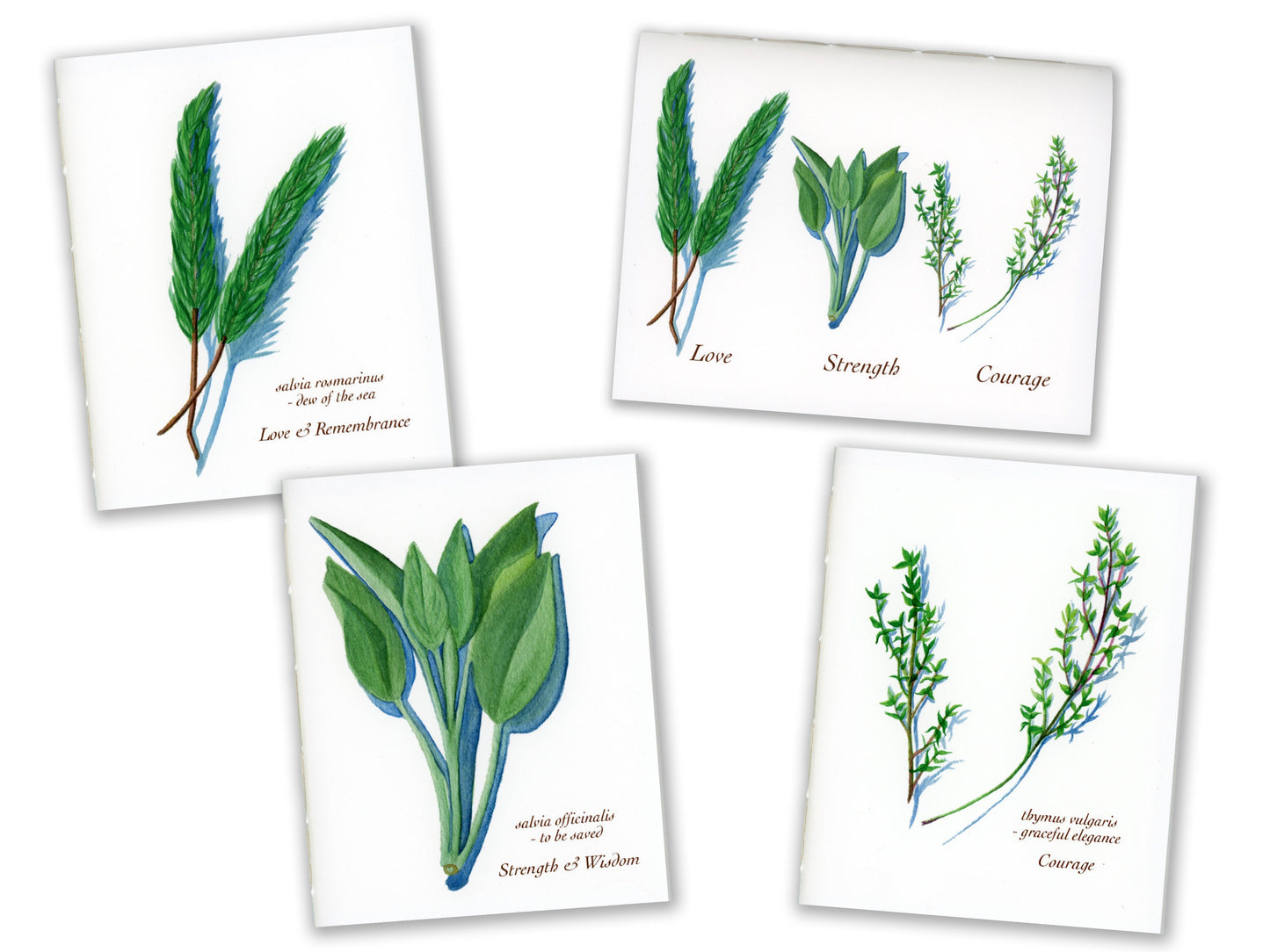 1 Small Journal - The Culinary Herbs Series - Rosemary