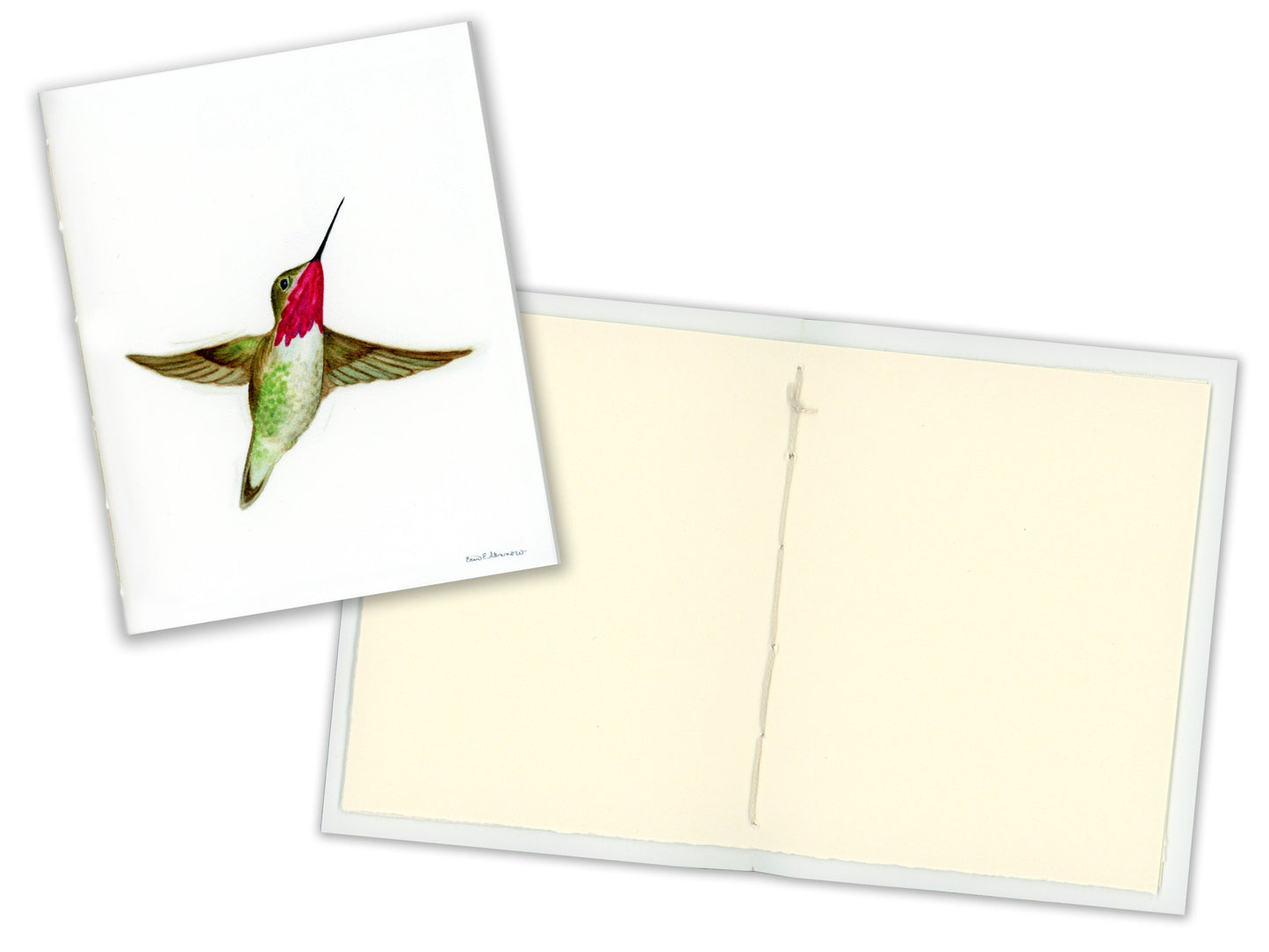 1 Small Journal - The Hummingbird Series - Hummingbird Flying