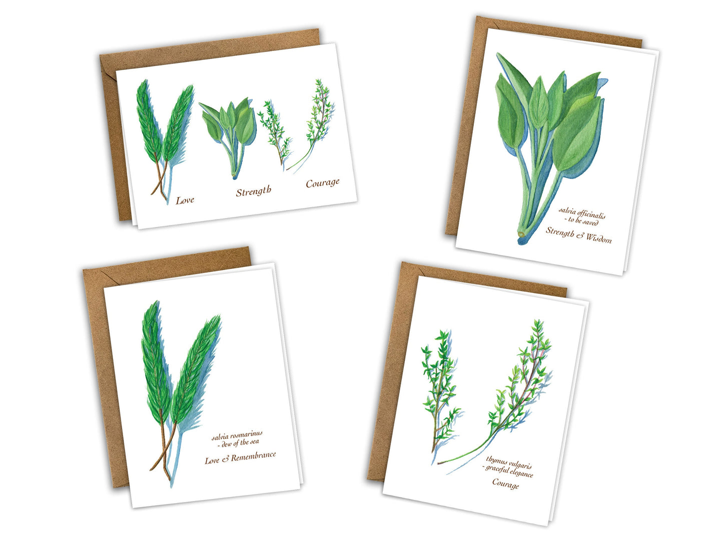 The Culinary Herbs Series - Greeting Card Set of 8