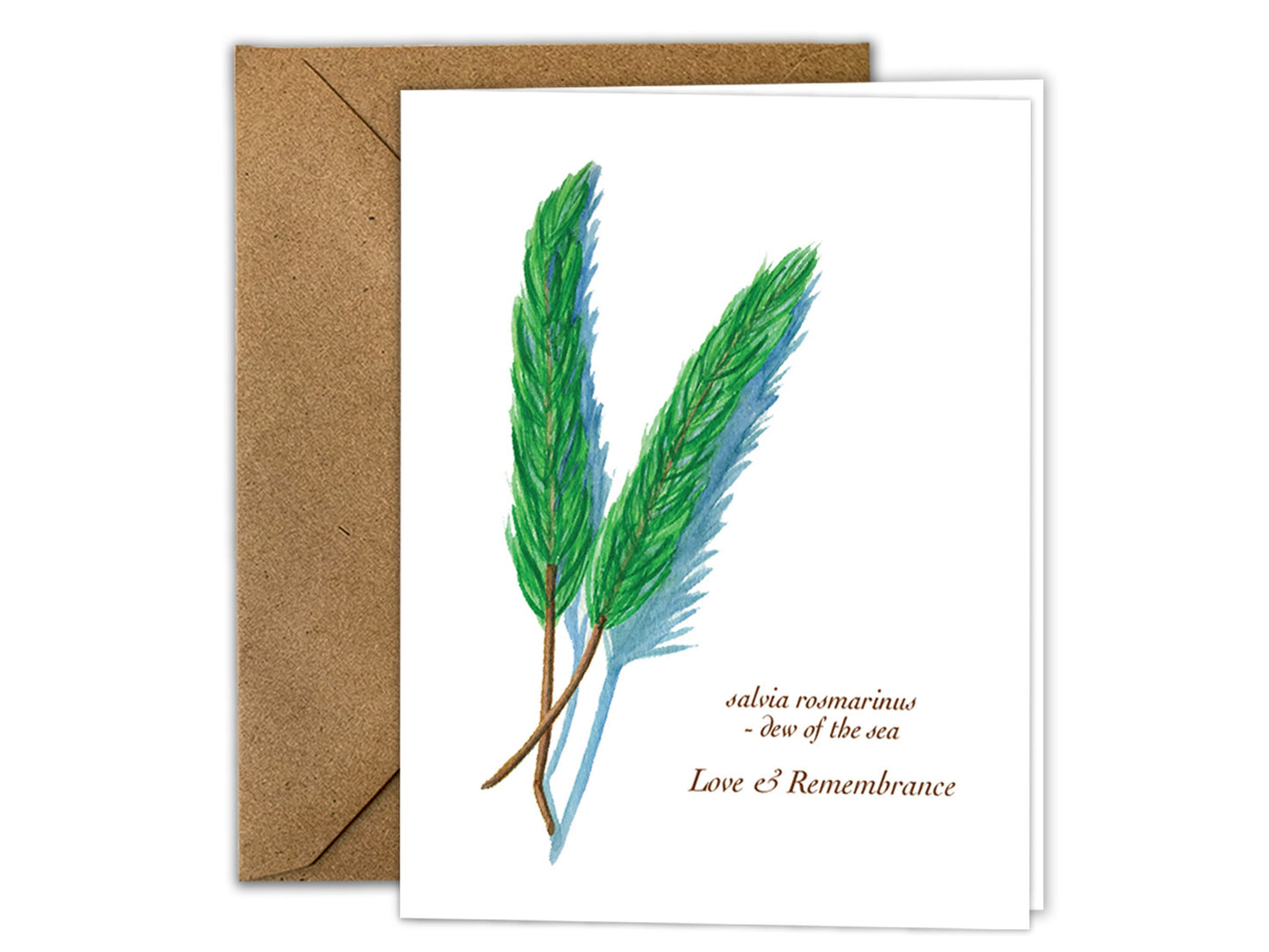 The Culinary Herbs Series - Greeting Card Set of 8